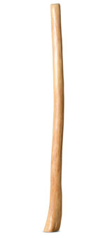 Medium Size Natural Finish Didgeridoo (TW1278)